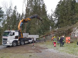 Fahrzeugkran | Transporte Neumüller | Oberösterreich